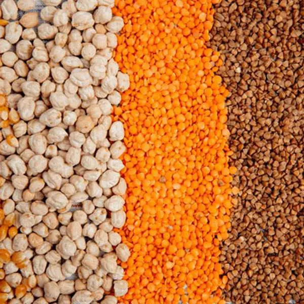 lentils-dal-a-simple-bengali-comfort-food